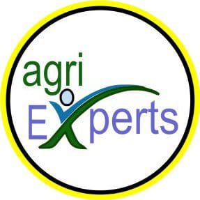 expert-logo